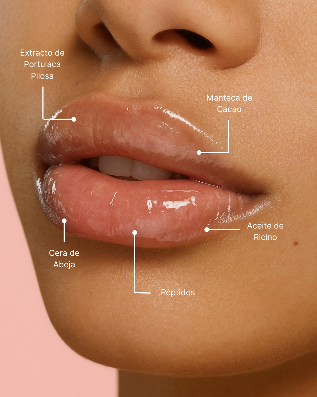 Infused Lip Oil Maxi